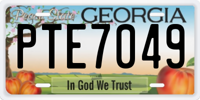 GA license plate PTE7049