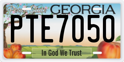 GA license plate PTE7050
