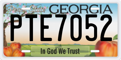 GA license plate PTE7052