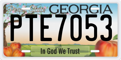 GA license plate PTE7053