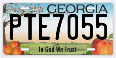GA license plate PTE7055