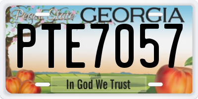 GA license plate PTE7057