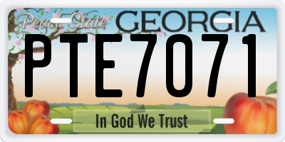 GA license plate PTE7071