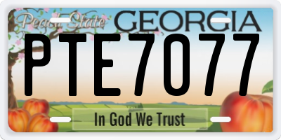 GA license plate PTE7077