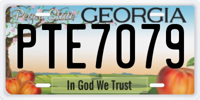 GA license plate PTE7079