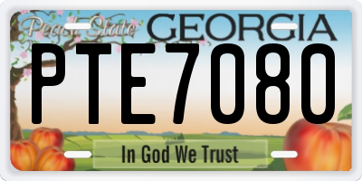 GA license plate PTE7080