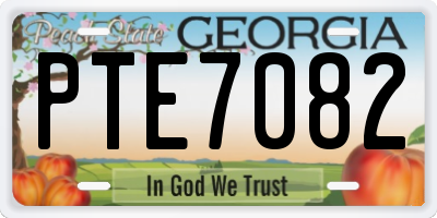 GA license plate PTE7082