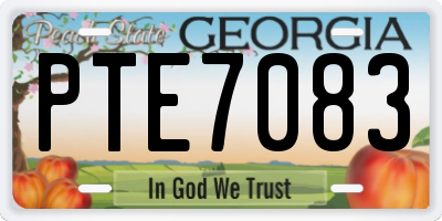 GA license plate PTE7083