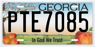 GA license plate PTE7085