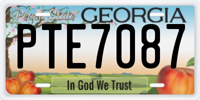 GA license plate PTE7087