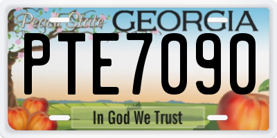 GA license plate PTE7090