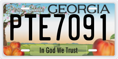 GA license plate PTE7091