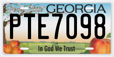 GA license plate PTE7098