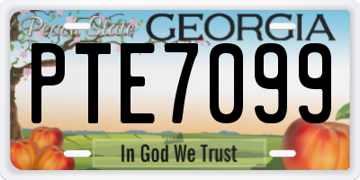 GA license plate PTE7099