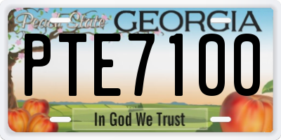 GA license plate PTE7100