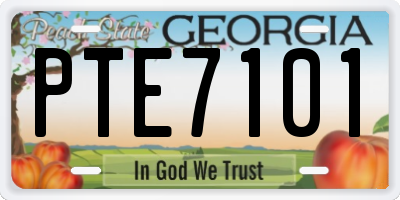 GA license plate PTE7101
