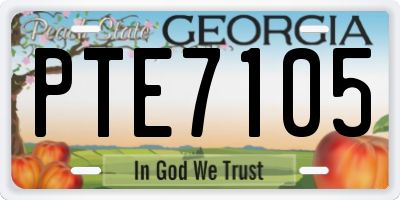 GA license plate PTE7105