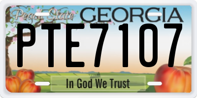 GA license plate PTE7107
