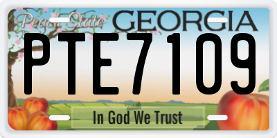 GA license plate PTE7109