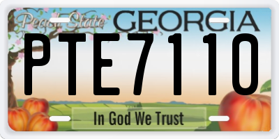 GA license plate PTE7110