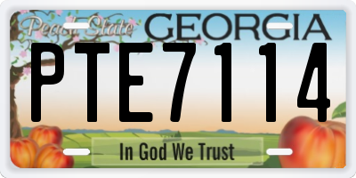 GA license plate PTE7114