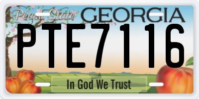 GA license plate PTE7116