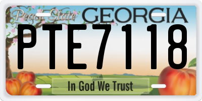 GA license plate PTE7118