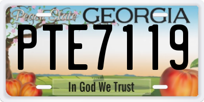 GA license plate PTE7119