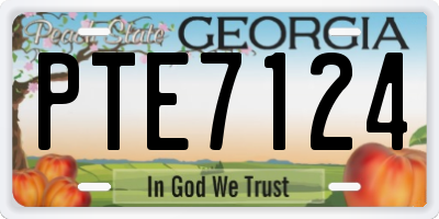 GA license plate PTE7124