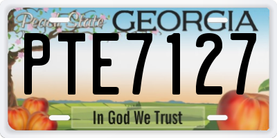 GA license plate PTE7127