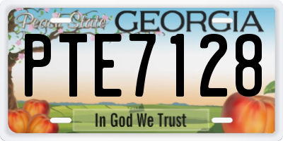 GA license plate PTE7128