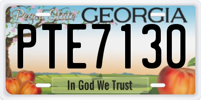 GA license plate PTE7130