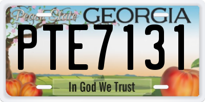 GA license plate PTE7131