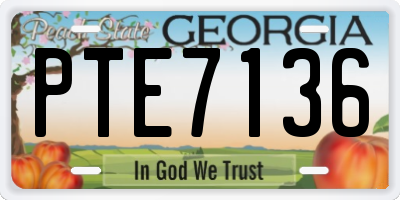 GA license plate PTE7136