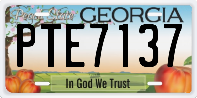 GA license plate PTE7137