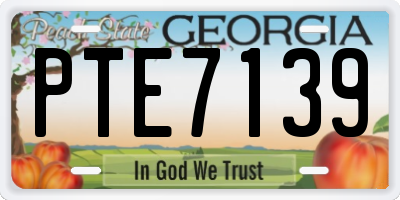 GA license plate PTE7139