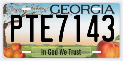 GA license plate PTE7143