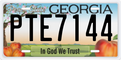 GA license plate PTE7144