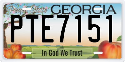 GA license plate PTE7151