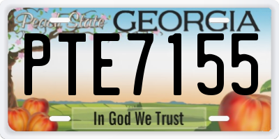 GA license plate PTE7155