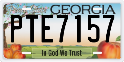GA license plate PTE7157