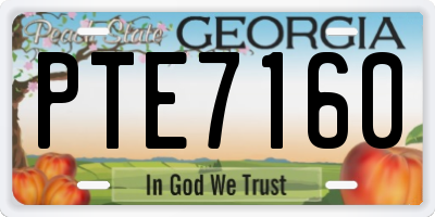 GA license plate PTE7160