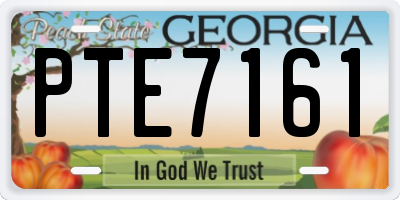 GA license plate PTE7161