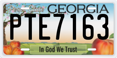 GA license plate PTE7163
