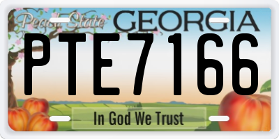 GA license plate PTE7166