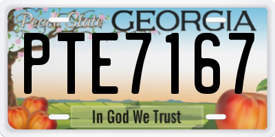 GA license plate PTE7167