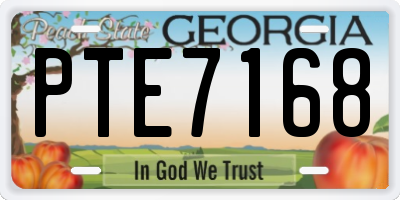 GA license plate PTE7168