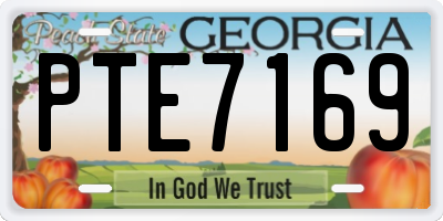 GA license plate PTE7169