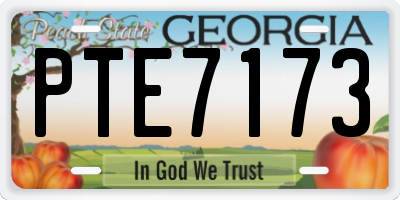 GA license plate PTE7173