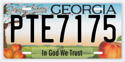 GA license plate PTE7175